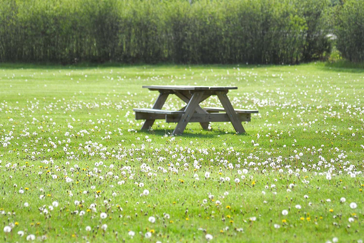 a park bench in an empty field